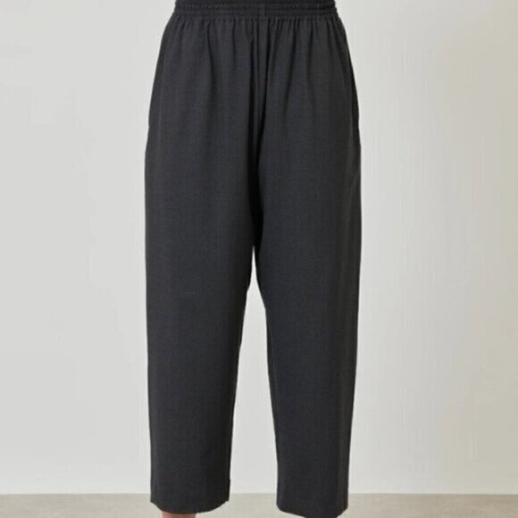 Eskandar Gray Pull-on Wool Cashmere Wide Leg Pants - Large 🇬🇧 - Picture 1 of 12